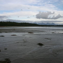 Schooner Cove
