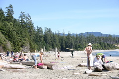 Busy Beach