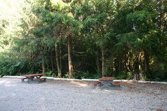 spruce_fringe_trail 002.jpg