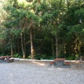 Picnic