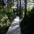 Boardwalk  Trail
