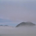 Misty Morning