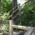 Hiking Trail (2678 visits) Tonquin Park stair trail Hiking Trail