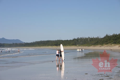 Surfs Up