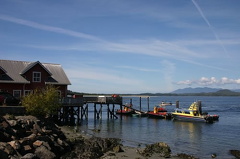Whale Watching Tours