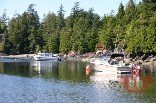 Moored Boat