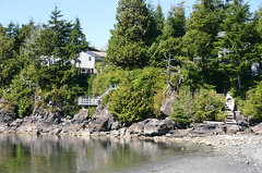 Waterfront Homes