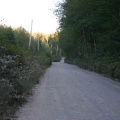 Backcountry Roads