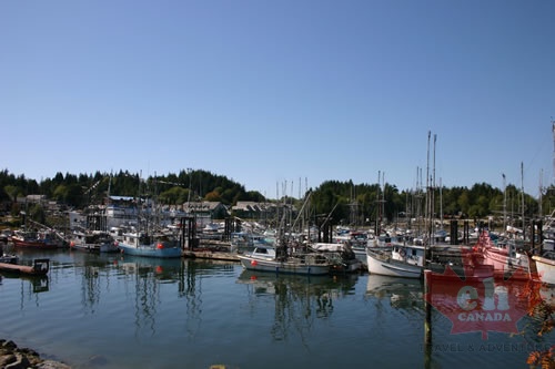 Marina
