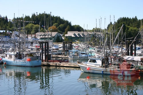 Docks