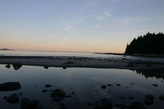 Mussel Beach