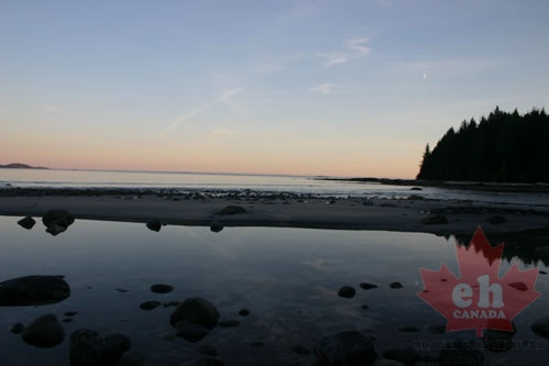 Mussel Beach