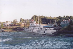 Low Tides