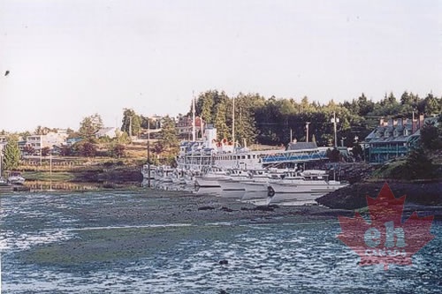 Low Tides