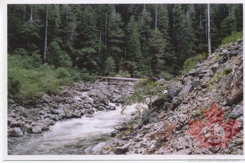 Walley Creek