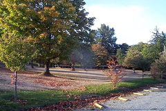 05.jpg