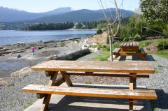 Picnic Tables
