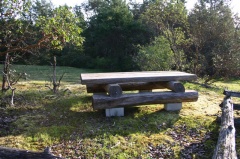 Picnic