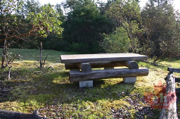 Picnic