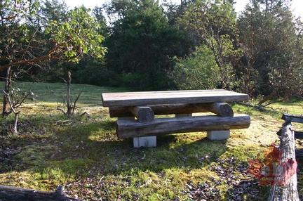 Picnic