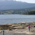 Beachcombing