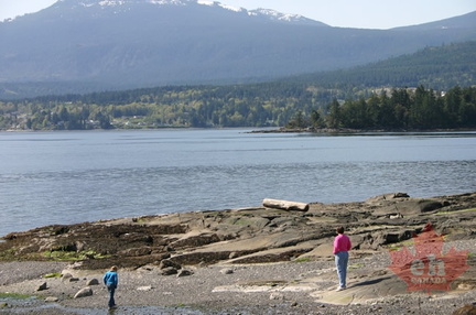 Beachcombing