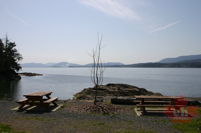 Picnic Views