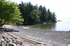 Pebbled Beach