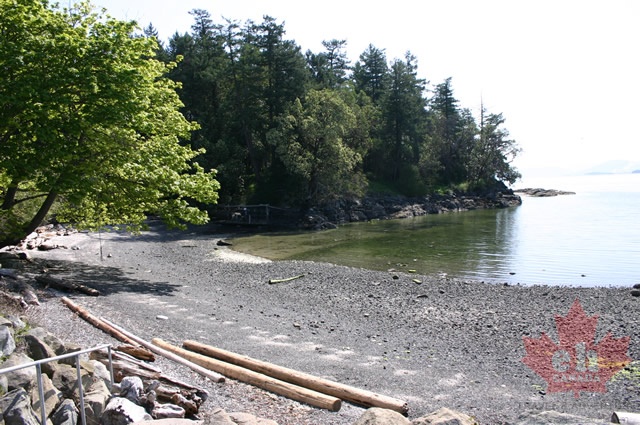 Pebbled Beach