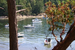tent island 009.jpg