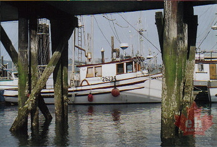 Boats