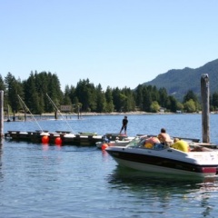 Water Skiing (777 visits) Boating on Cowichan Lake Water Skiing