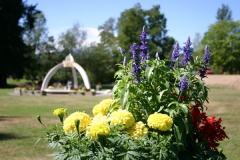 Flowers and Gardens