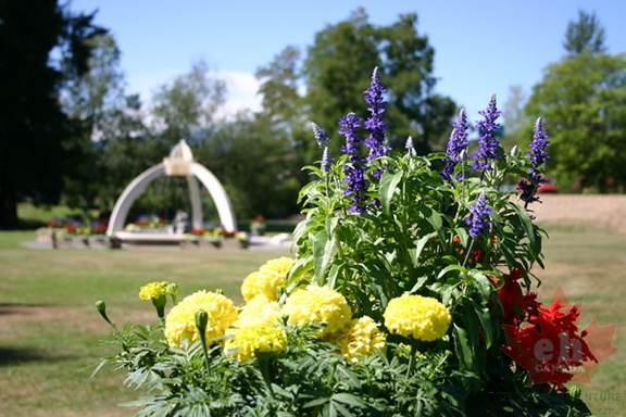 Flowers and Gardens