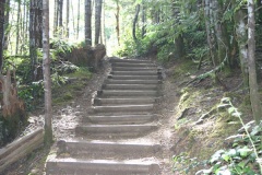 Hiking Trail