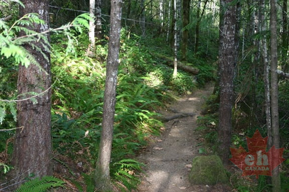Hiking Trail
