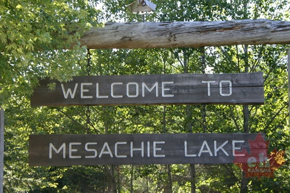 Mesachie Lake