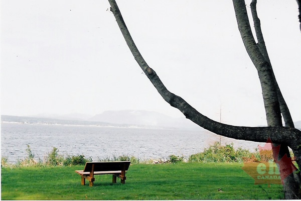 Sightseeing Bench