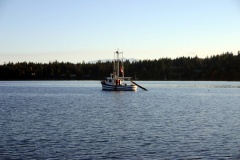 fishboat055.jpg