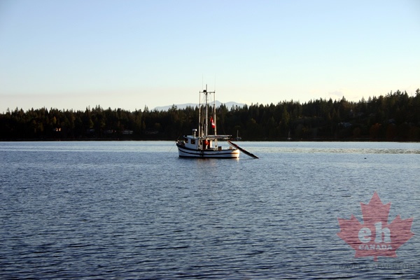 Fishing