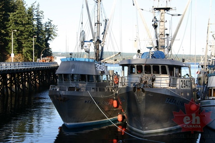 Commercial Fishing