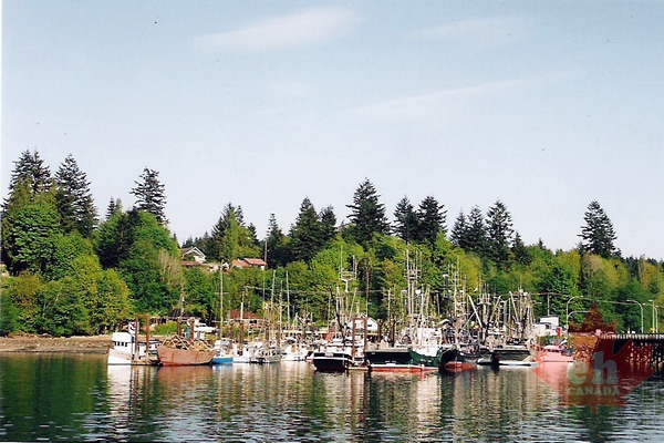 Marina