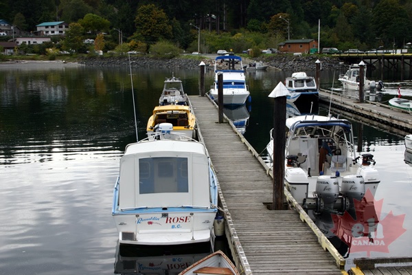 Docks on Quadra
