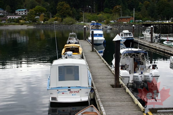 Docks on Quadra