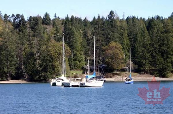 Sailboats