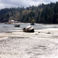 Low Tide