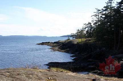 Coastline