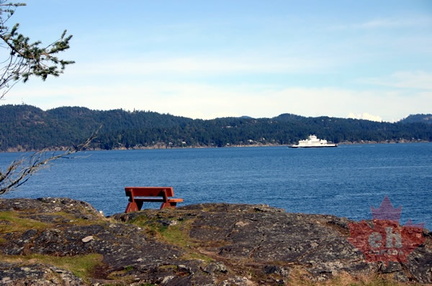 Ferry Watching