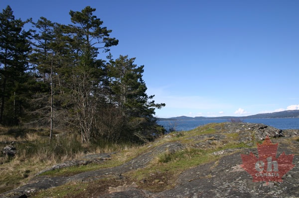 Rocky Bluff