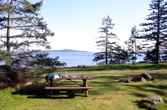 Picnicking